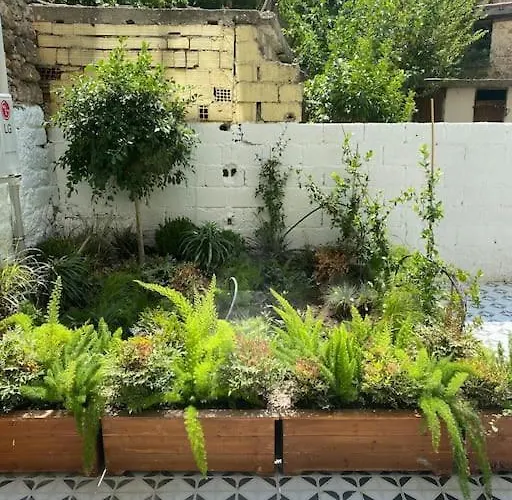 Center Of Old Town,2+1 Flat With Garden Lejlighed *