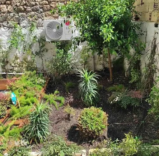 Appartement Center Of Old Town,2+1 Flat With Garden *